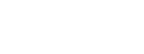 Zaintzen Servicios Sociales